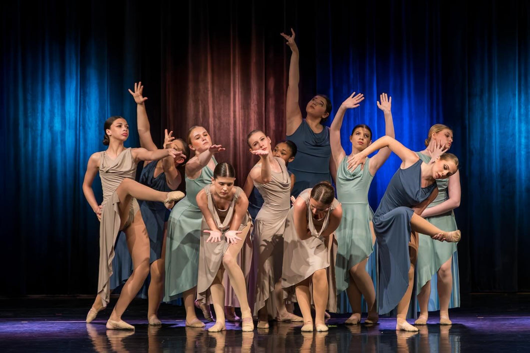 Stavna Ballet Academy Showcase 2025 Video